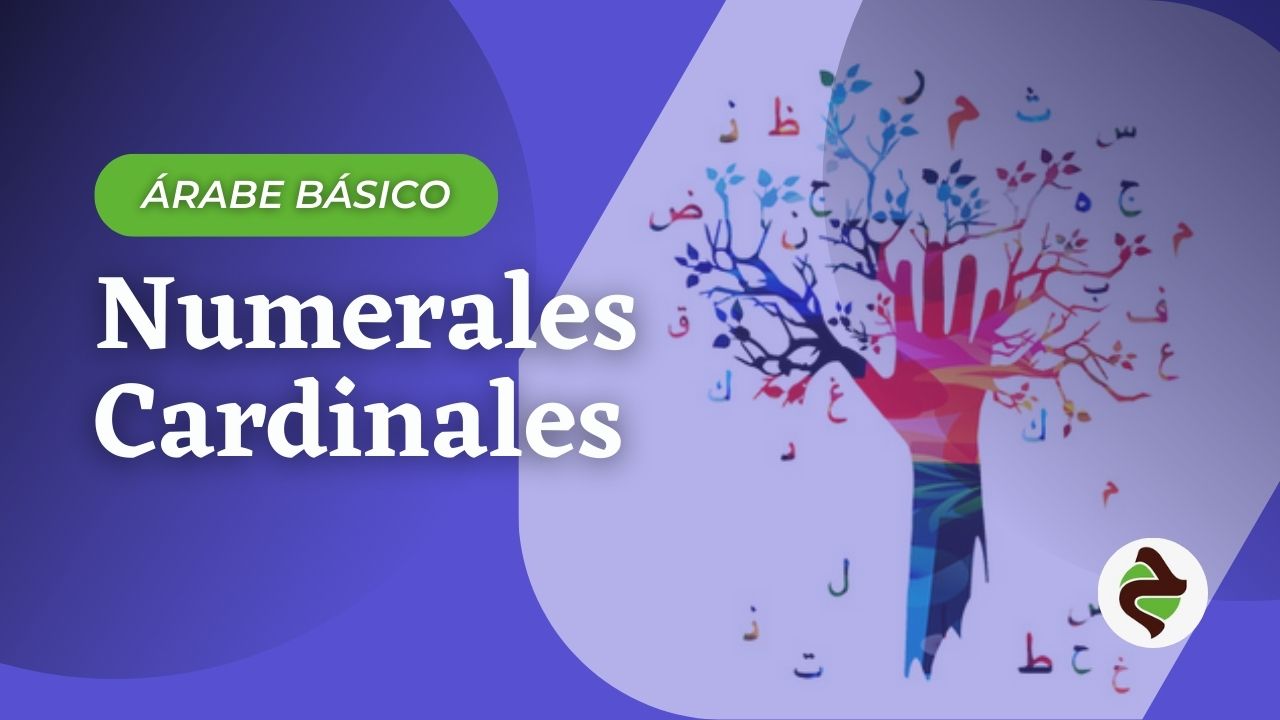 miniatura del curso