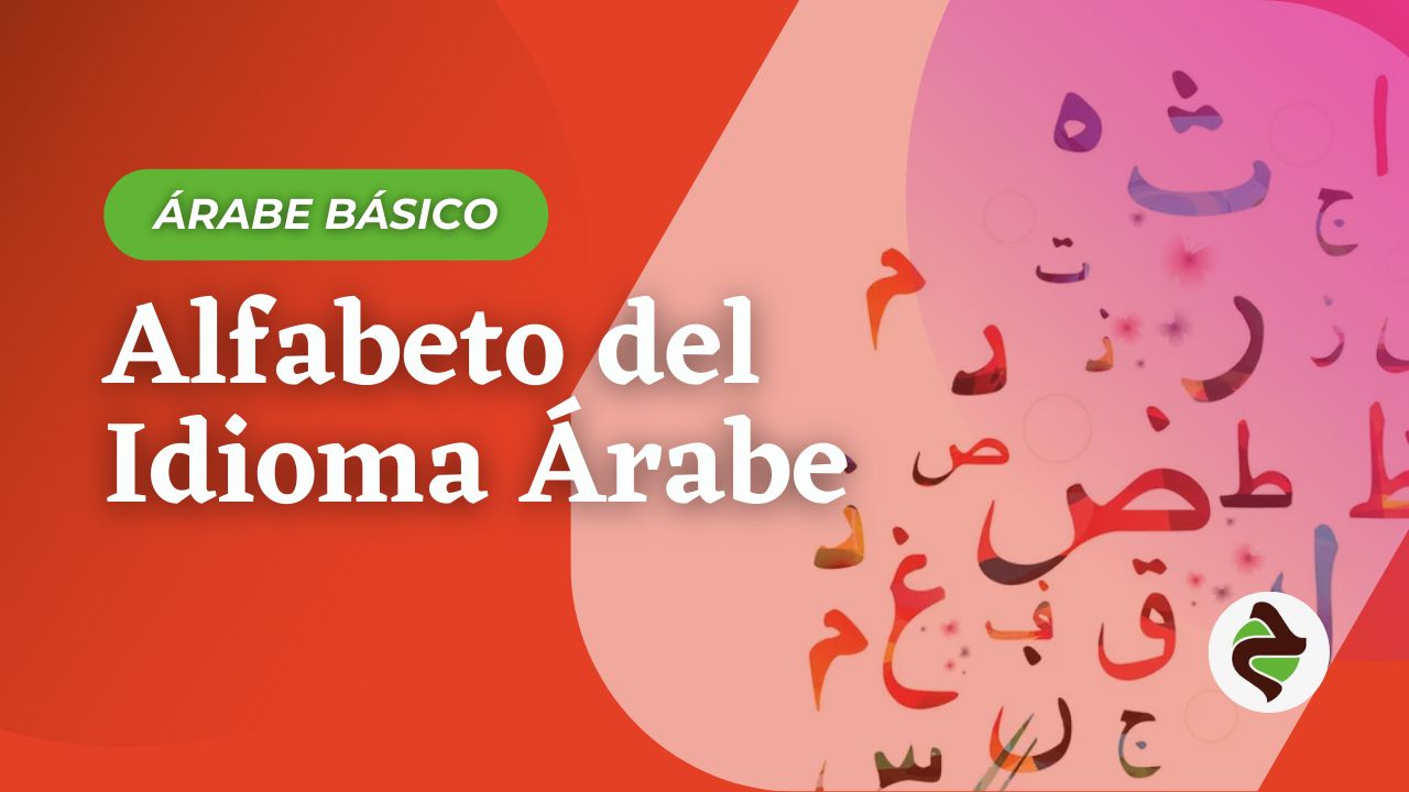 miniatura del curso