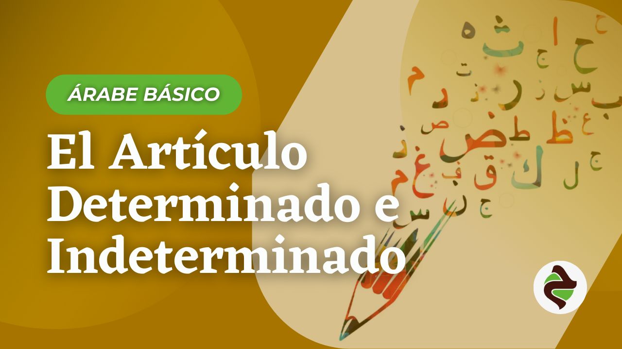 miniatura del curso